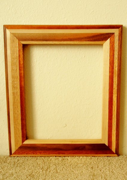 frame skate nike