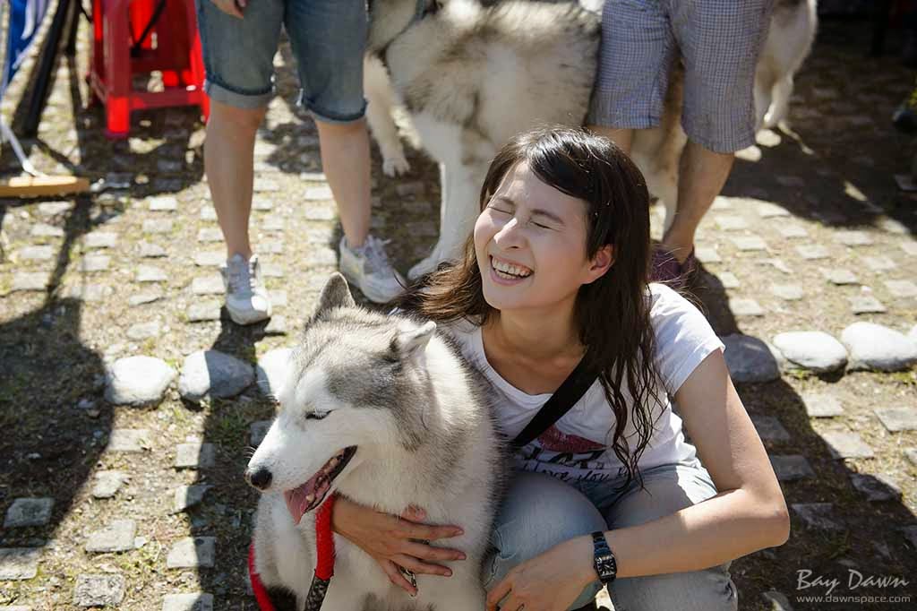 婚攝小動、婚攝推薦、活動紀錄、哈士奇、雪橇