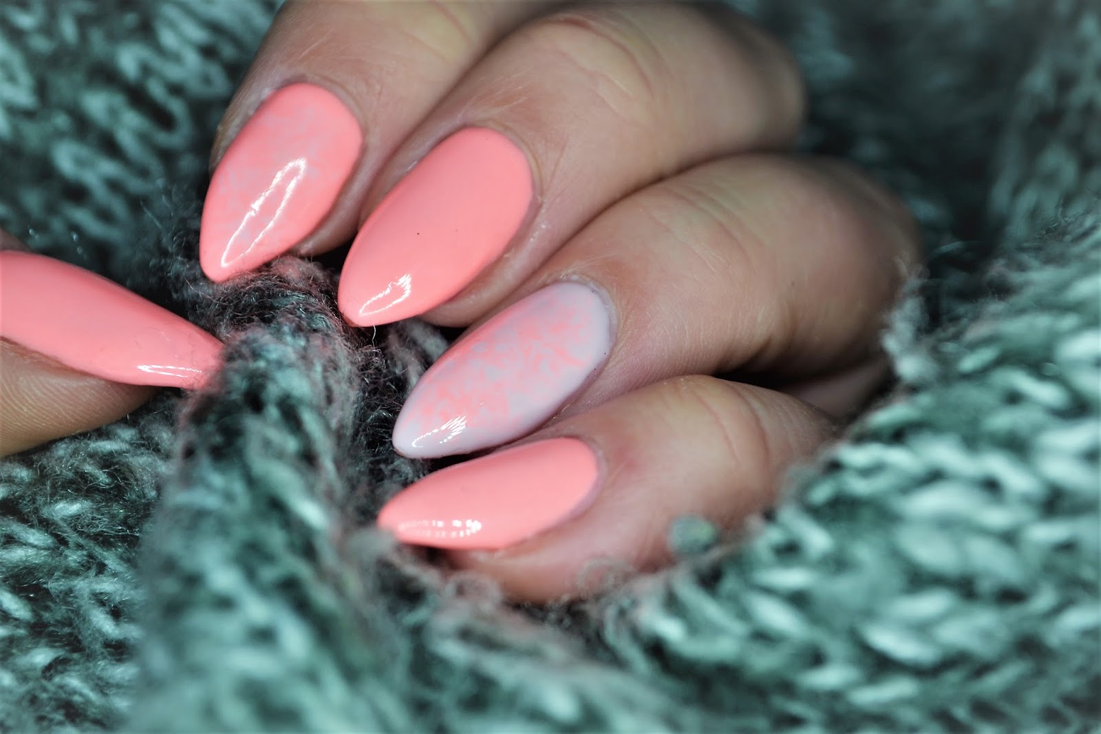 11 Pastelowe Hybrydy Dla Ksiezniczki Ksanaru