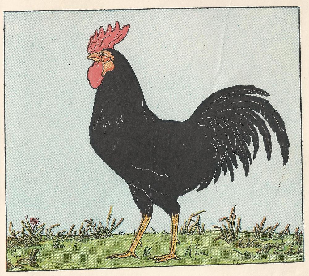 vintage rooster clip art - photo #18