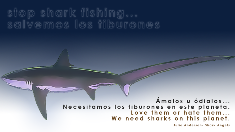 Stop Shark Fishing... Salvemos los tiburones