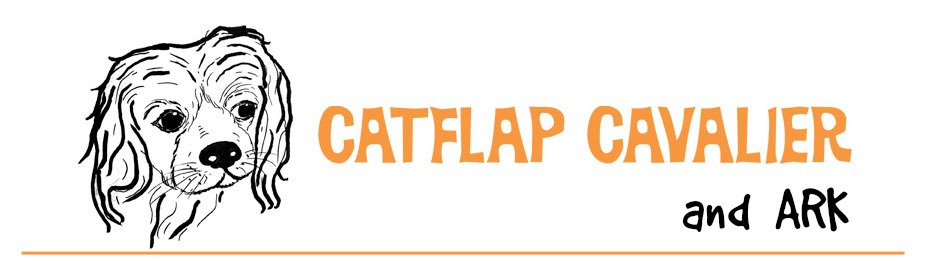 Catflap Cavalier