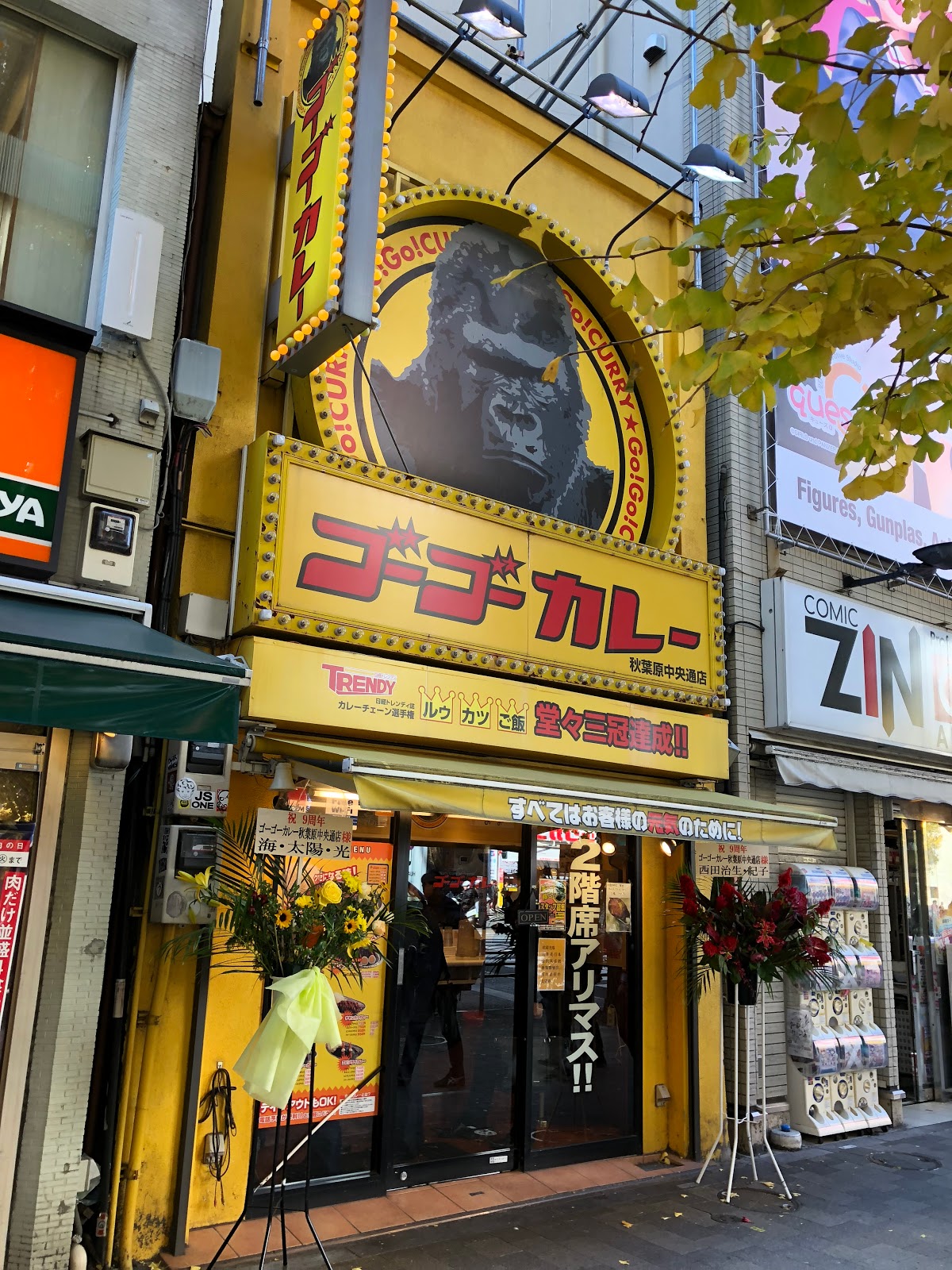 Tokyo Excess Go Go Curry In Akihabara