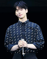 biodata Cha Eun-woo pemeran Do Kyung-seok drama korea My ID is Gangnam Beauty