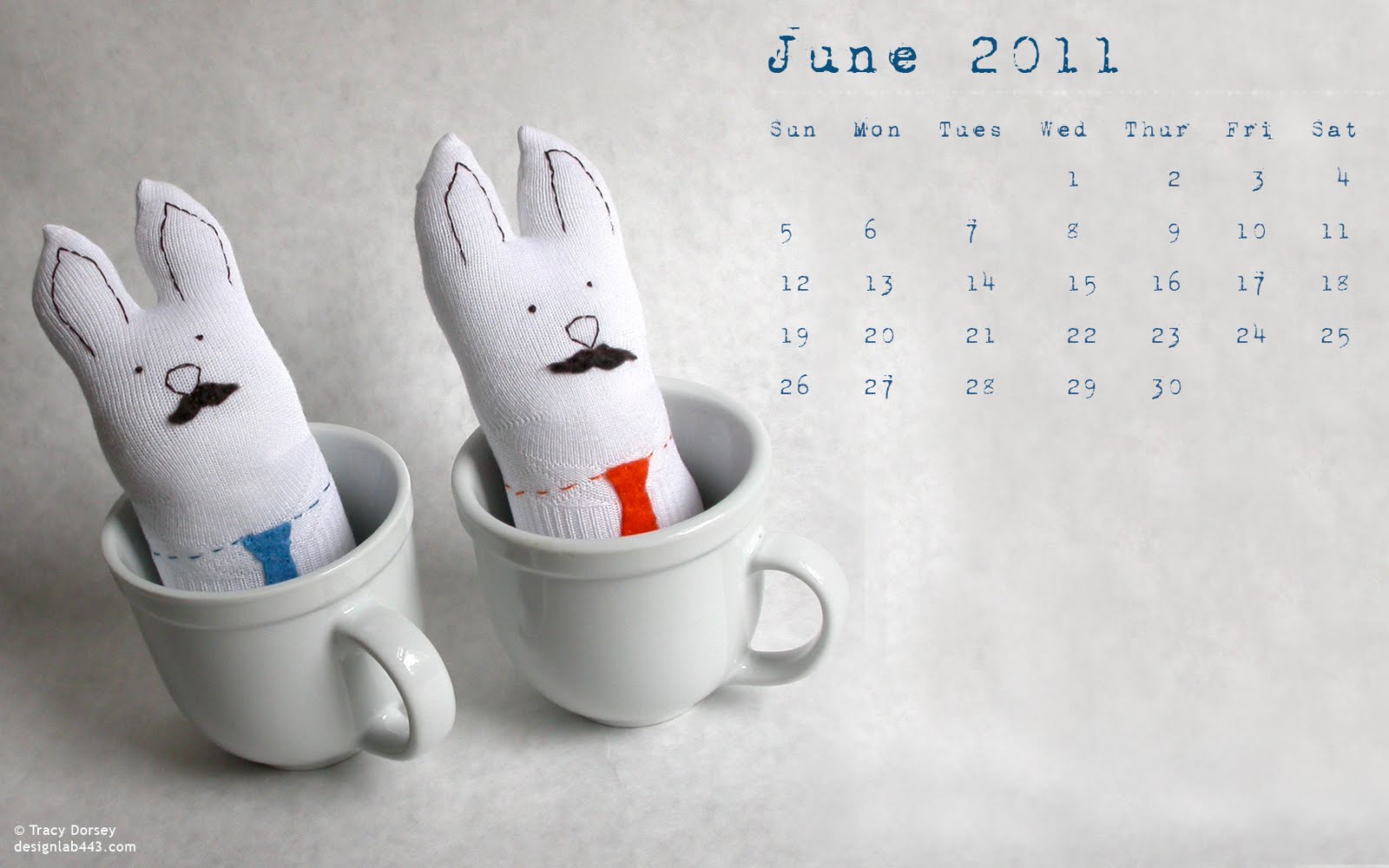 Tracy Design Lab 443 2011 Calendar June
