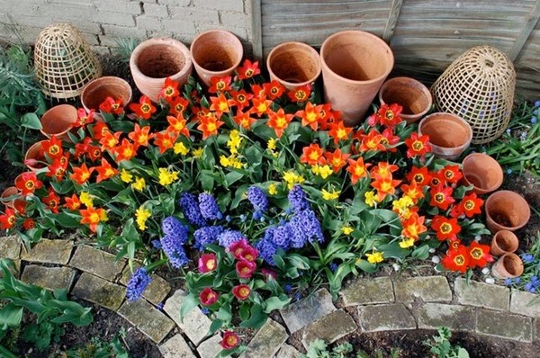 Ideas to brighten your garden