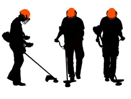 Full Service Landscaping