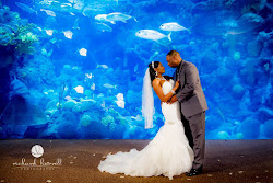True Love at the Florida Aquarium Real Royal Weddings Royal Events and Services The Blog