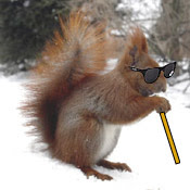 blindsquirrel2.jpg