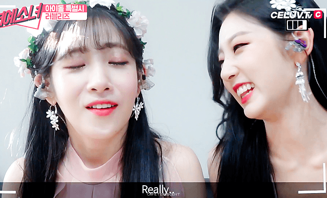 16.gif