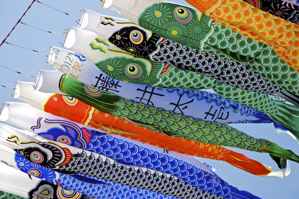 Ai Nihon 愛日本 Koinobori FARMOFMINDS