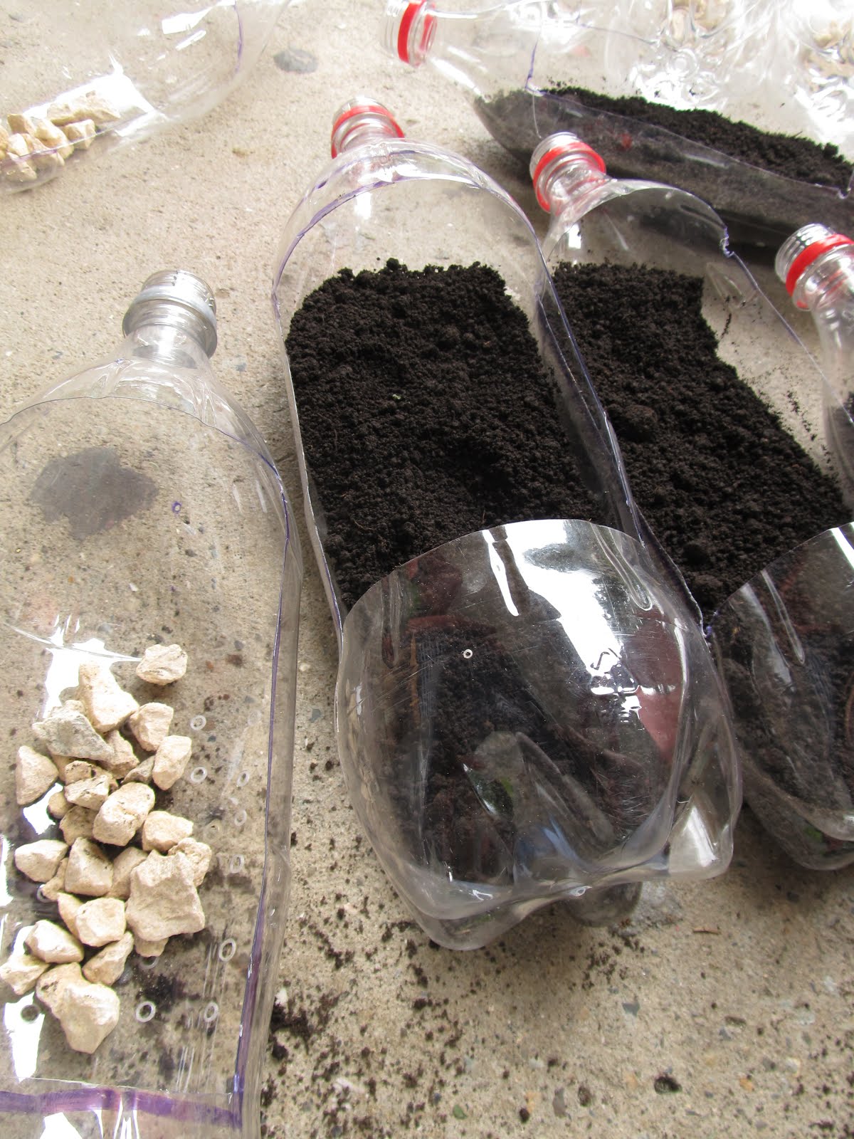 Querini Architecture: Un jardín vertical práctico para construír.