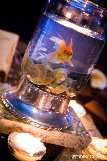 100 Days To Plan A Wedding Is That Fish Was N Away With How Man Live Fish Centerpieces Are Used I Hope They Find A Good Home After The Do S Over Or Peta Is Going To Be Ticked Lol