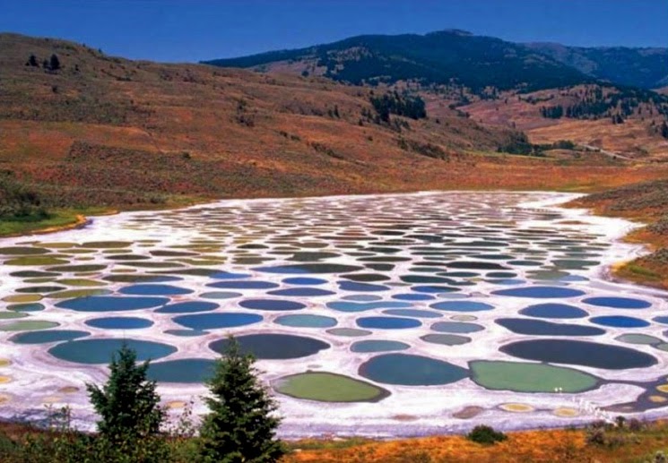 The Spotted Lake