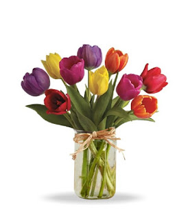 Mixed Tulips