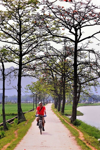 [Image: Thang-Ba-mua-hoa-gao-no-ro-5.jpg]