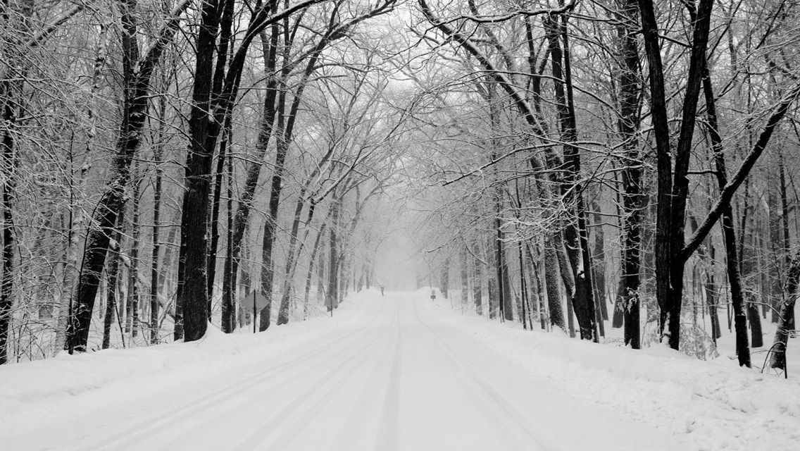 Winter wallpapers Free Download Winter Snowy Road HD Wallpapers for
