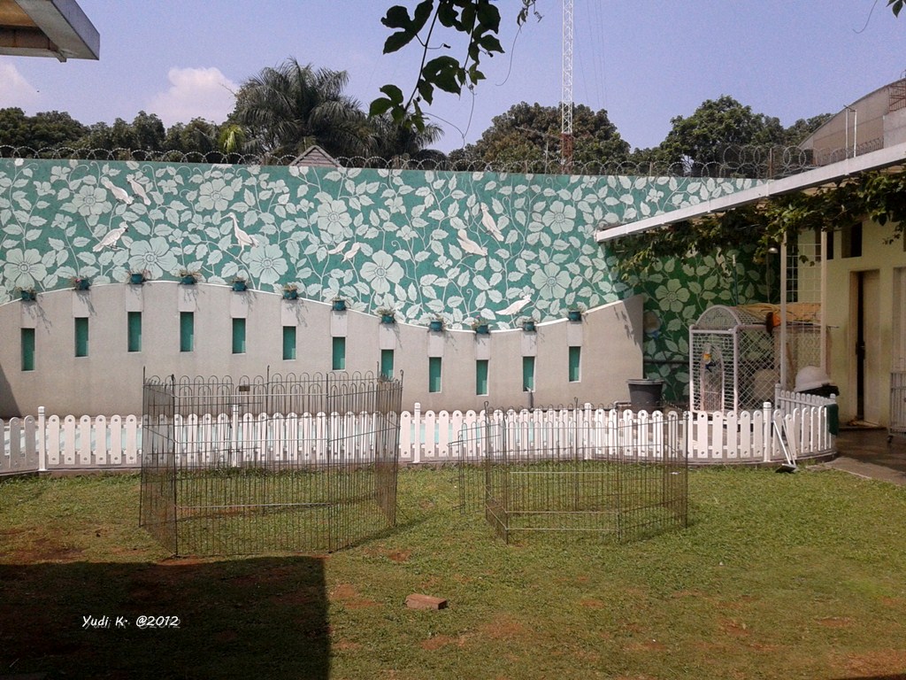 Pet Distro at Bandung