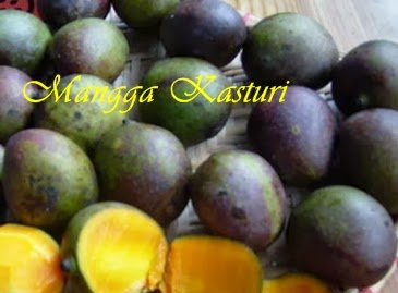 Mangga Kasturi idola baru buah mangga Mangga unik