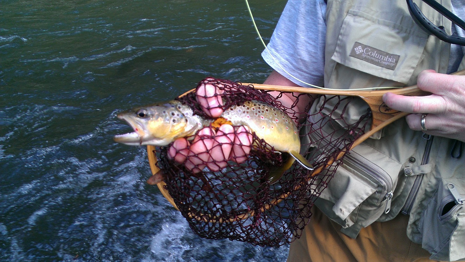 Lew's Fly Angler Chesapeake Bay and Gunpowder River Maryland Fly