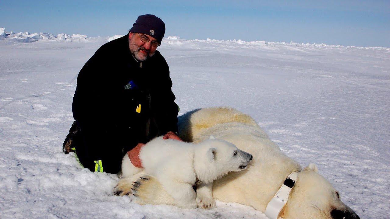 What Radio Station Are The Bears On Radio Choices