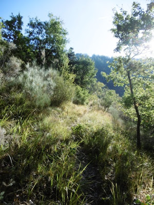 Montée vers le col de l'escluchière, malooka