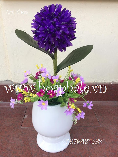 Hoa đá pha lê ở Quán Thánh Hoa da pha le o Quan Thanh