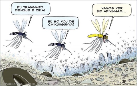 lute3.jpg (480×302)