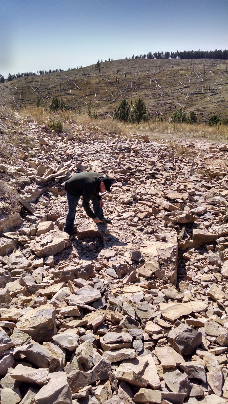 CSMS GEOLOGY POST TRUCKIN THRU BLACK HILLS FAIRBURN AGATES CSMS GEOLOGY POST TRUCKIN THRU BLACK HILLS FAIRBURN AGATES