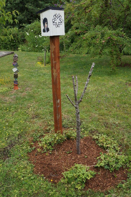 Remains of a dead Frost peach tree and birdhouse (and garden totem)