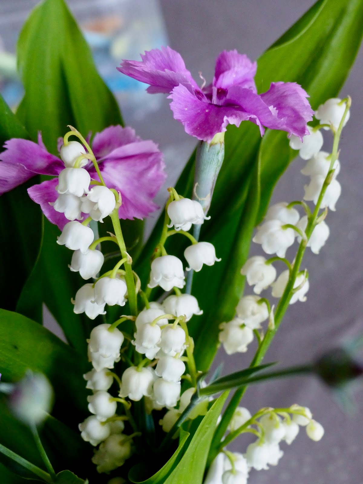 Mitou La Bretonne Muguet Et Roses