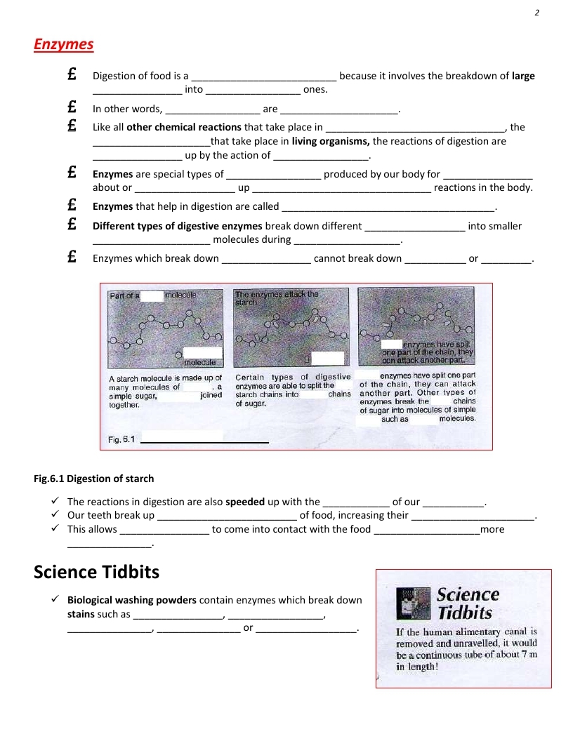 Secondary Two (Science notes and exercises): Science Chapter (6) Notes