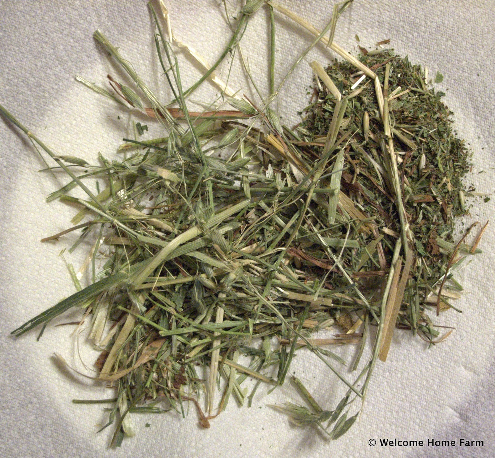 What Do Farm Animals Eat? My Home Farm