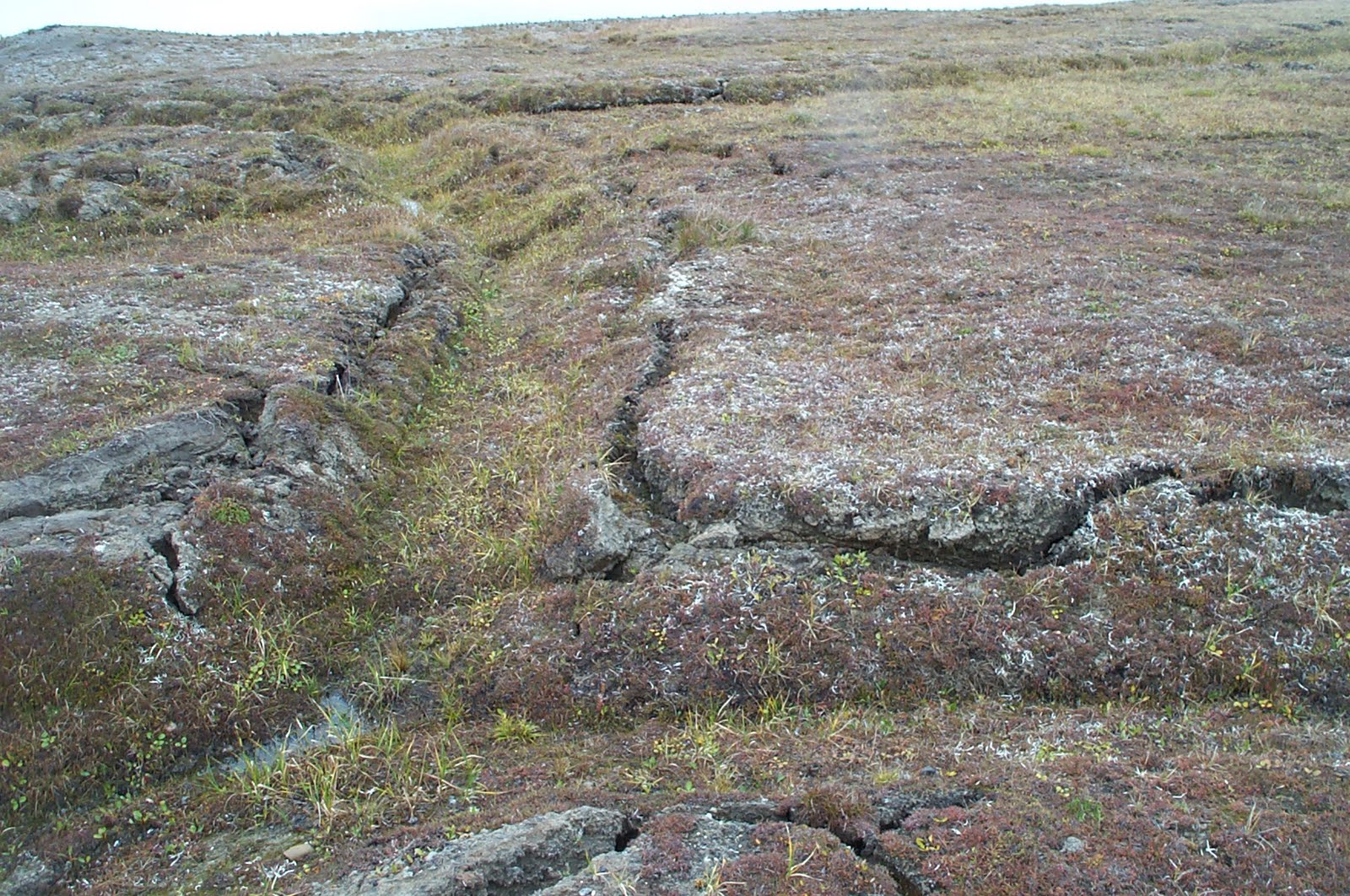 Денудационные цокольные пластовые и аккумулятивные равнины