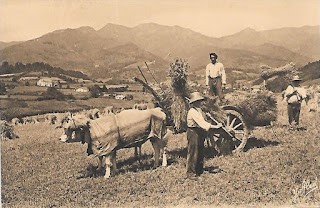 https://paysbasqueavant.blogspot.fr agriculture pays basque