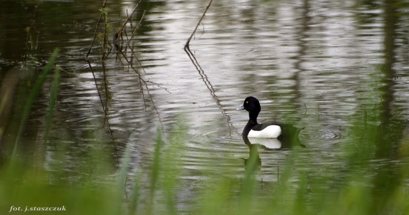 Trzecie Oko Czernice