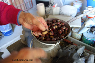 Castagne / Chestnuts in Cava Nardini Vellano Tuscany Italy