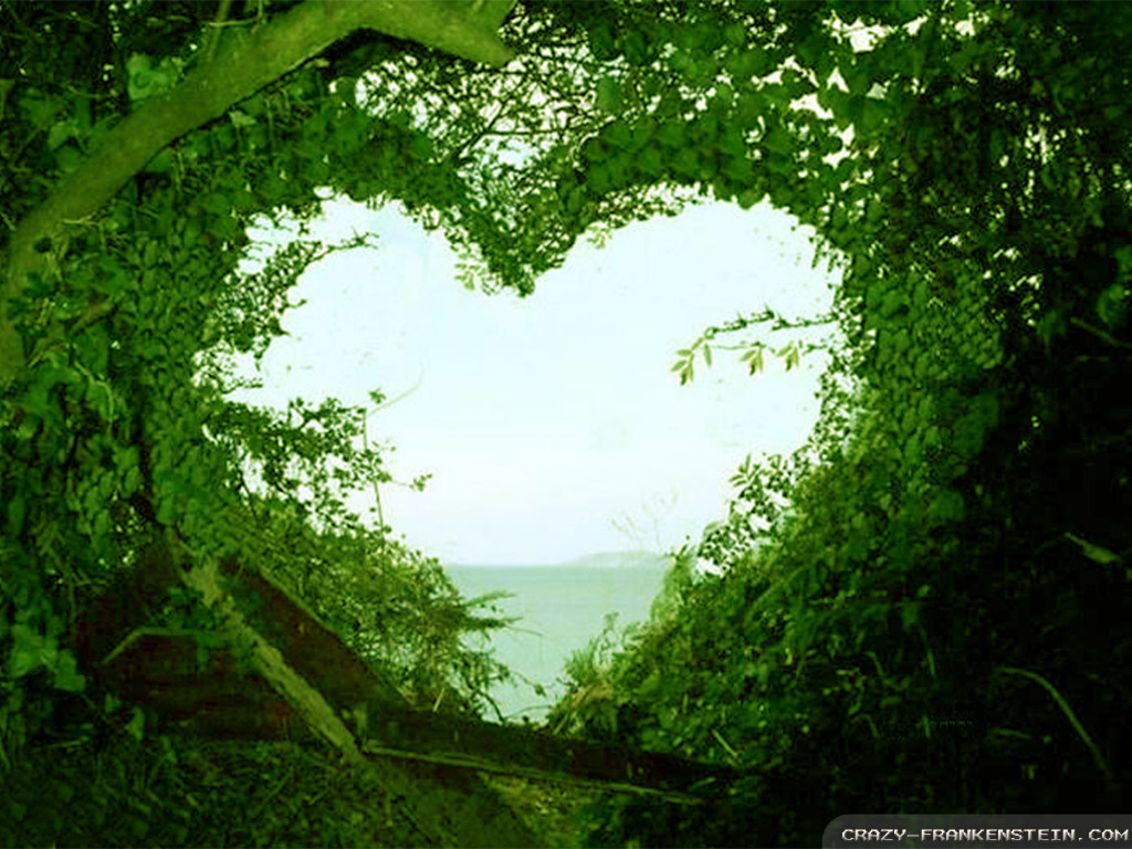 Beautiful Love Nature Wallpapers For Free.Jpg