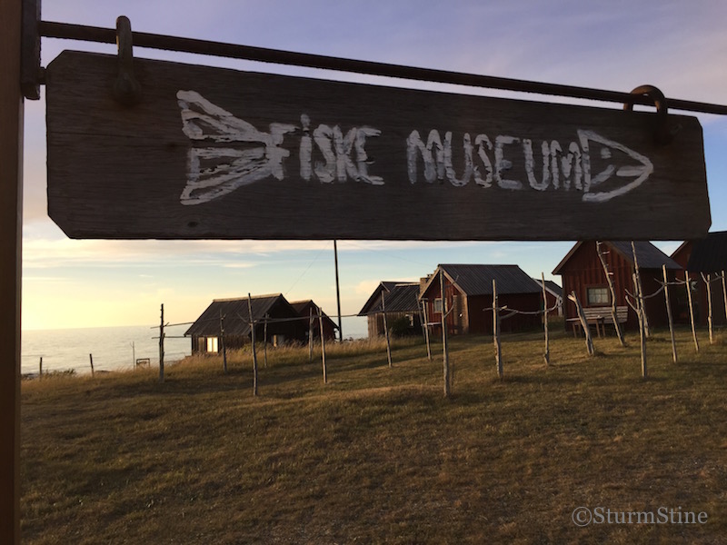 Sturm Stine Gotland Die Insel Der Felsen Und Schafe