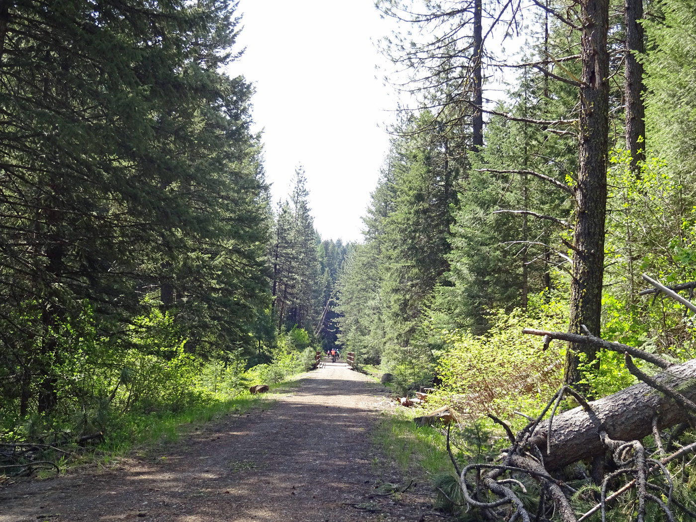 The Bike Nazi Weiser River Trail recreational ride