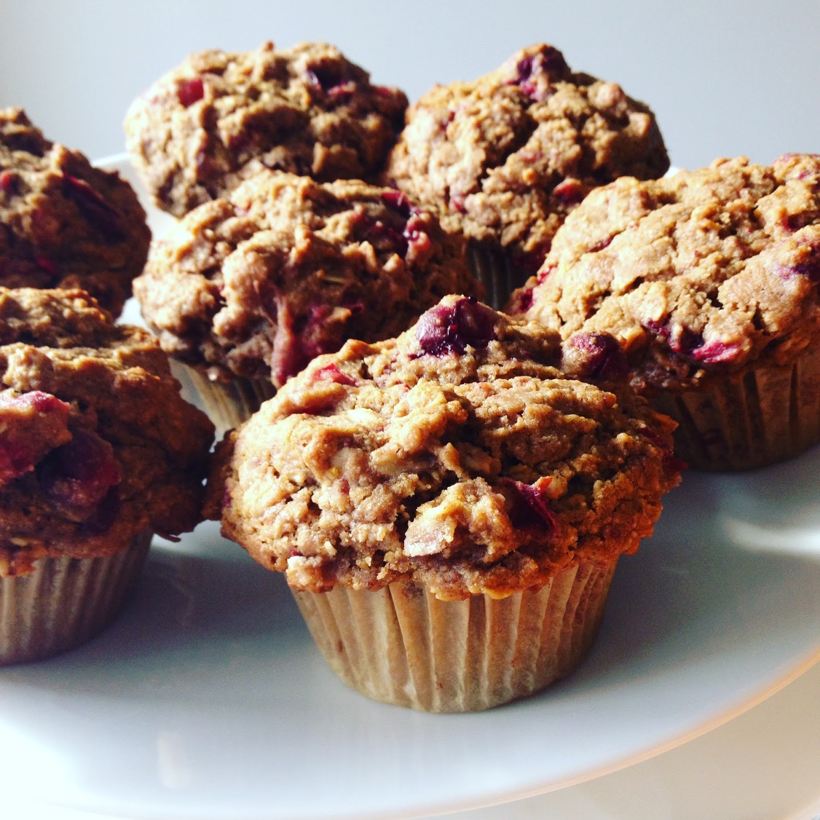 Hope For Healing Cranberry Orange Oat Muffins