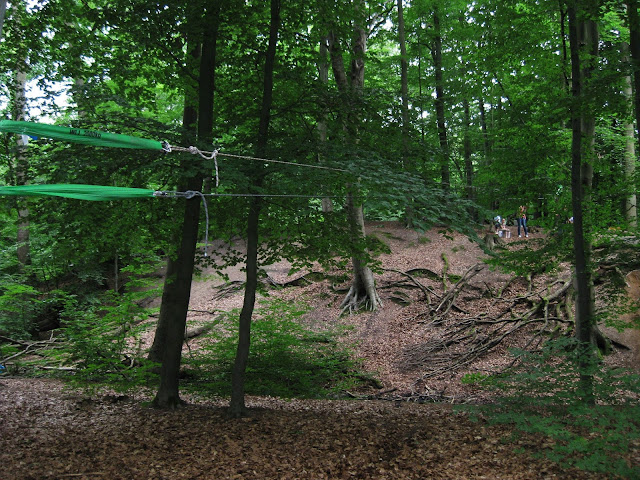 Forest Kindergarten Zip Line