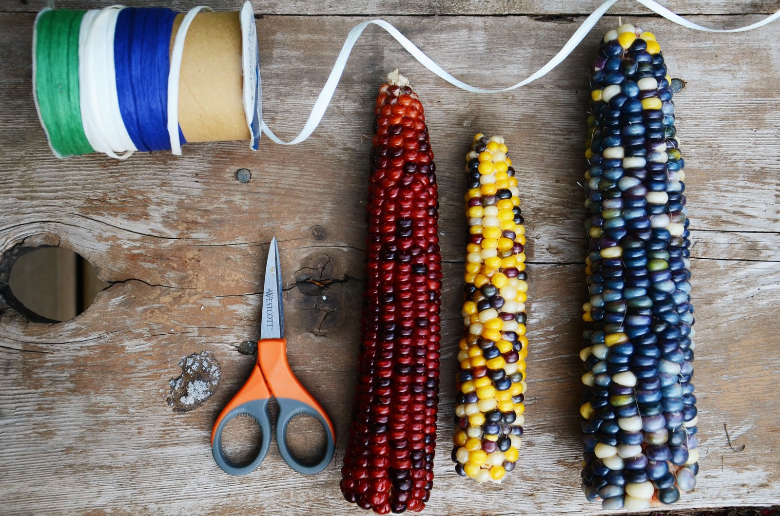 p.s.♡ diy indian corn decorations