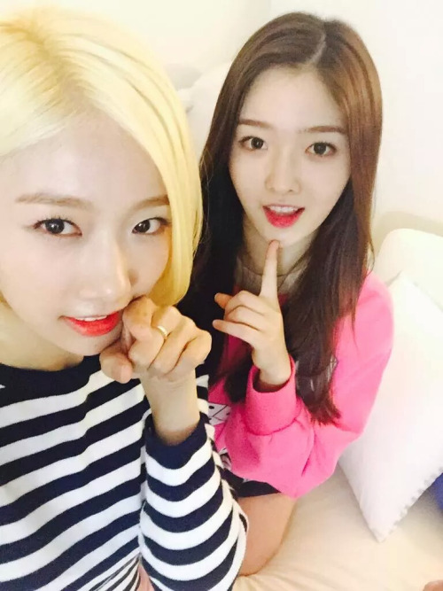 걸그룹 다이아에 청순하고 예쁜 멤버.jpg | 인스티즈