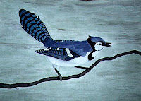 Blue Jay - watercolor on plain paper