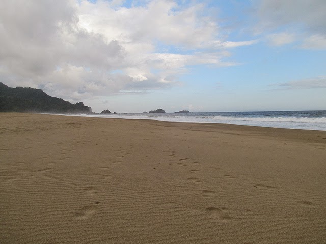 PANTAI SUKAMADE, RUMAH PENYU BERTELUR DI TAMAN NASIONAL ...