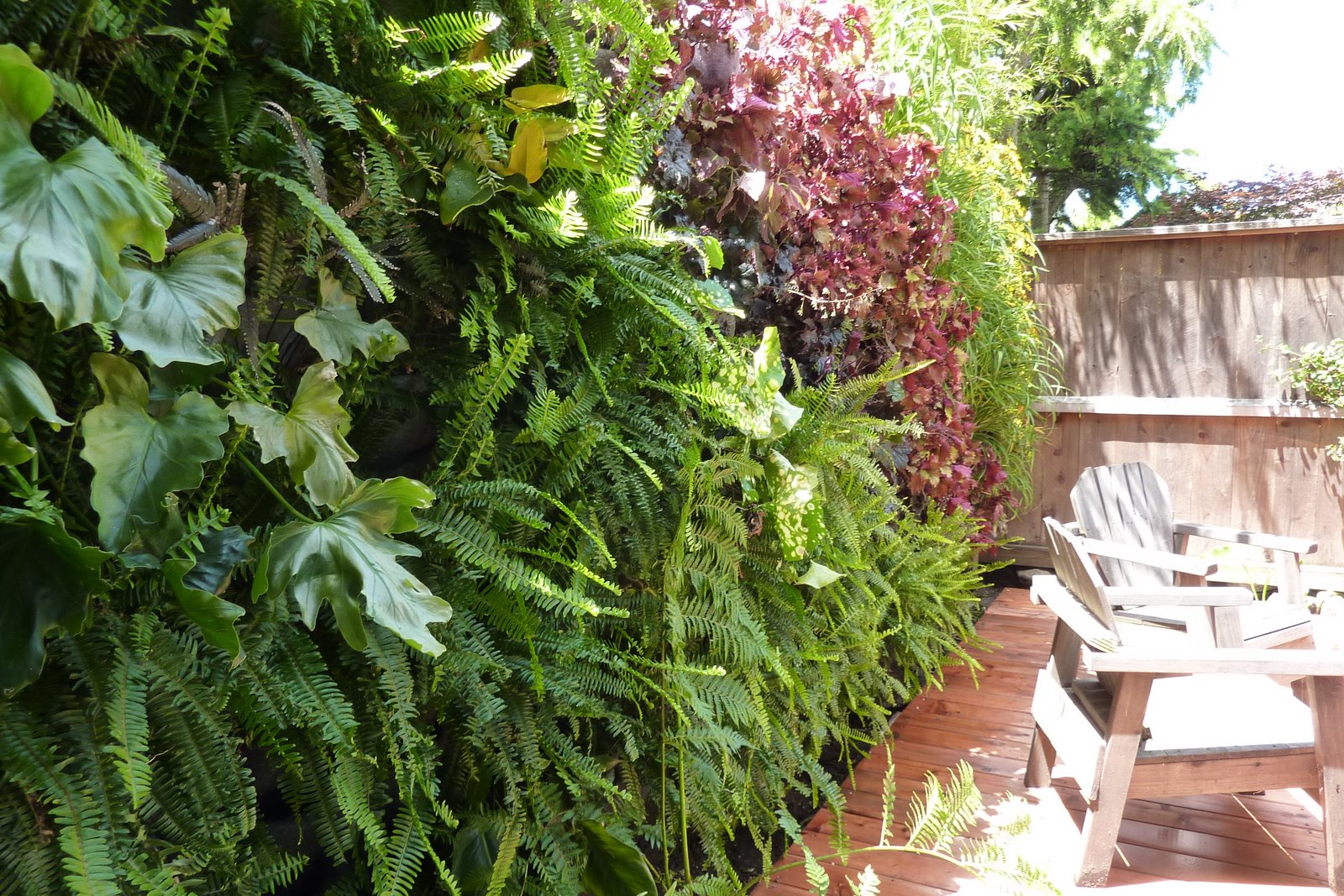 Deck Plants Full-Sun