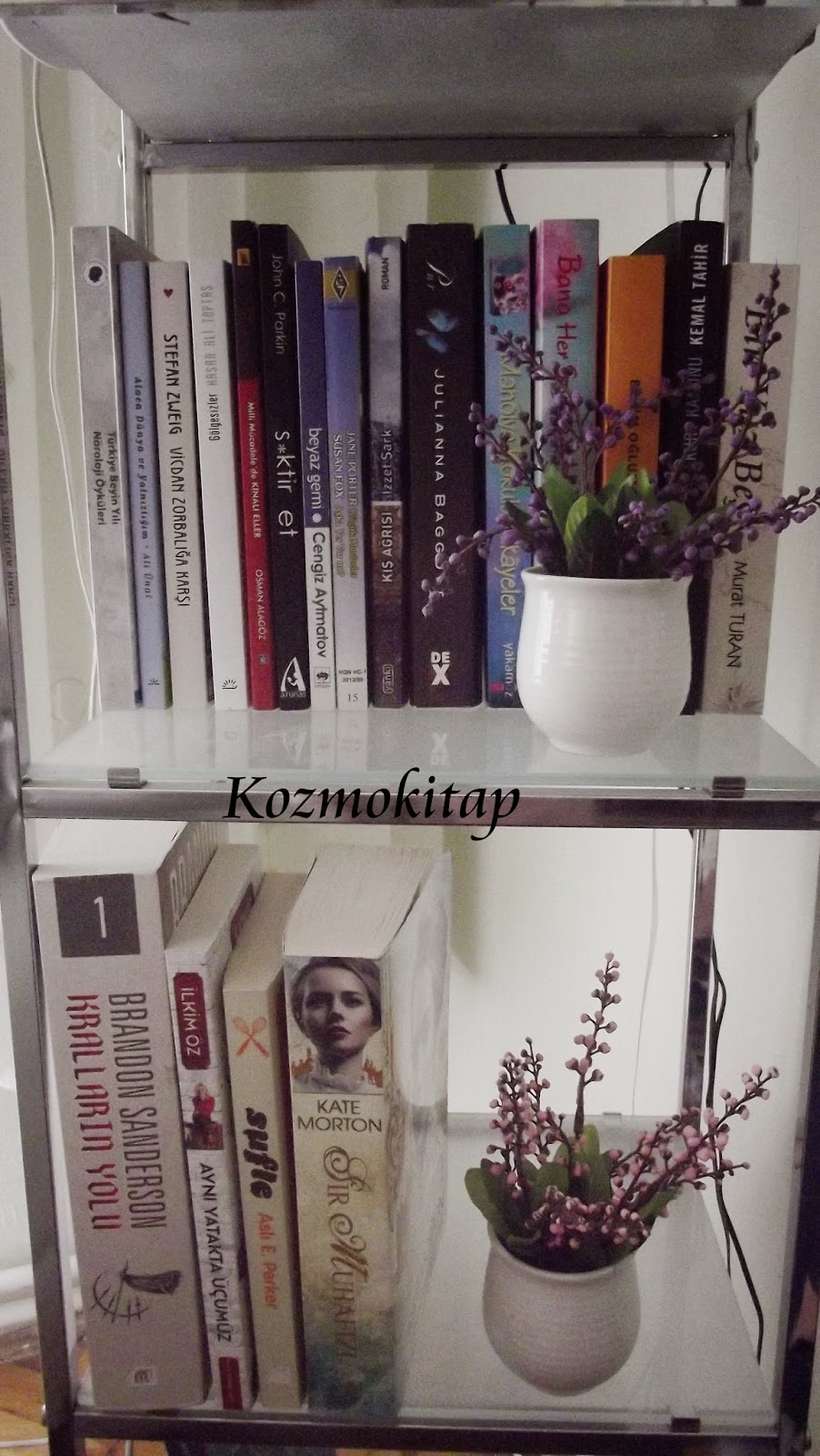 Okunmayı bekleyen kitaplar Kozmokitap