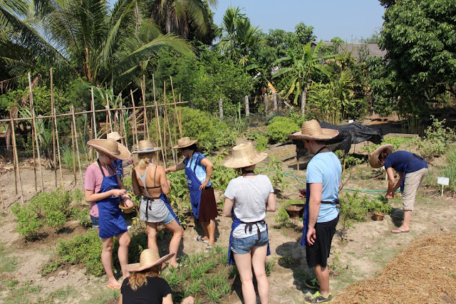 Thai Cooking Class image 