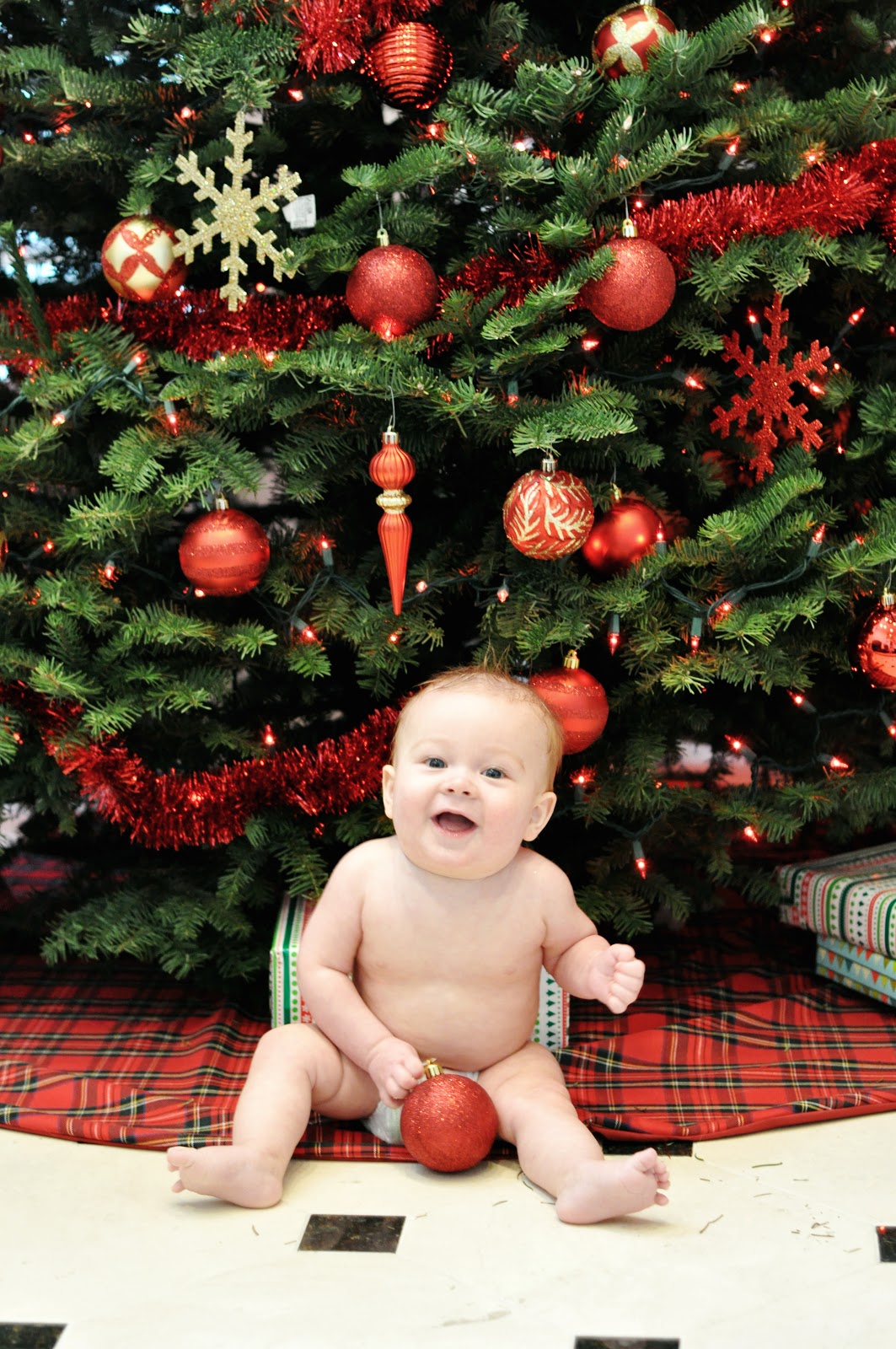 Diesel in Bloom DIY tree skirt